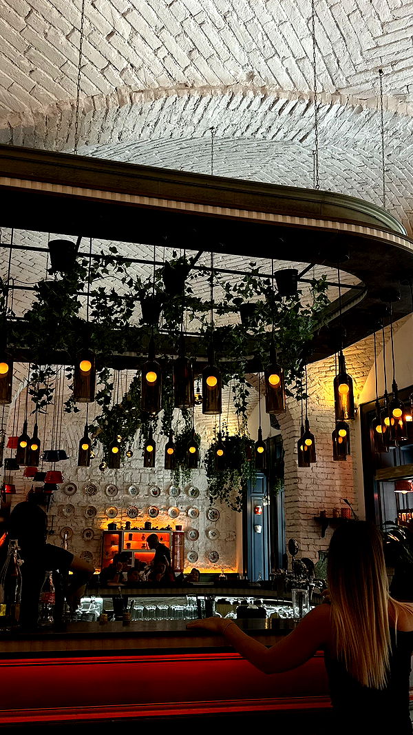 mira.0004 image ~ Altpins