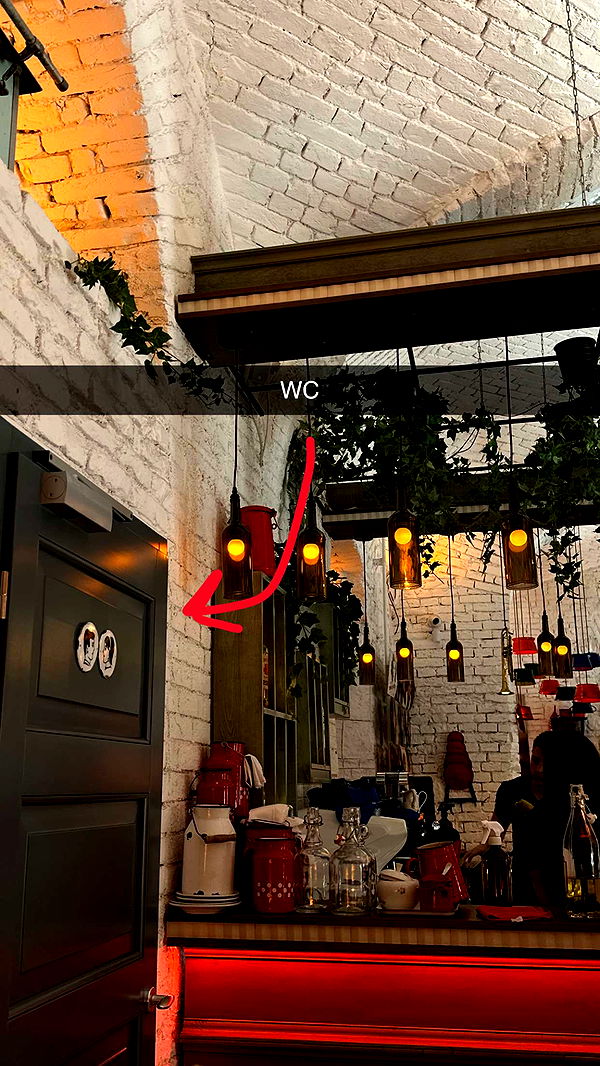 mira.0004 image ~ Altpins