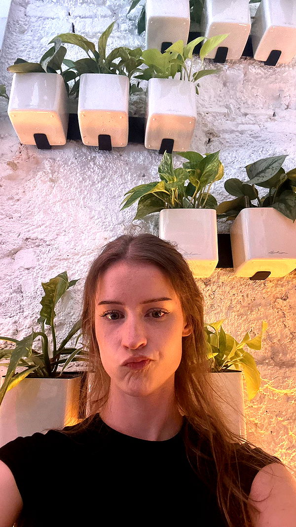 mira.0004 image ~ Altpins