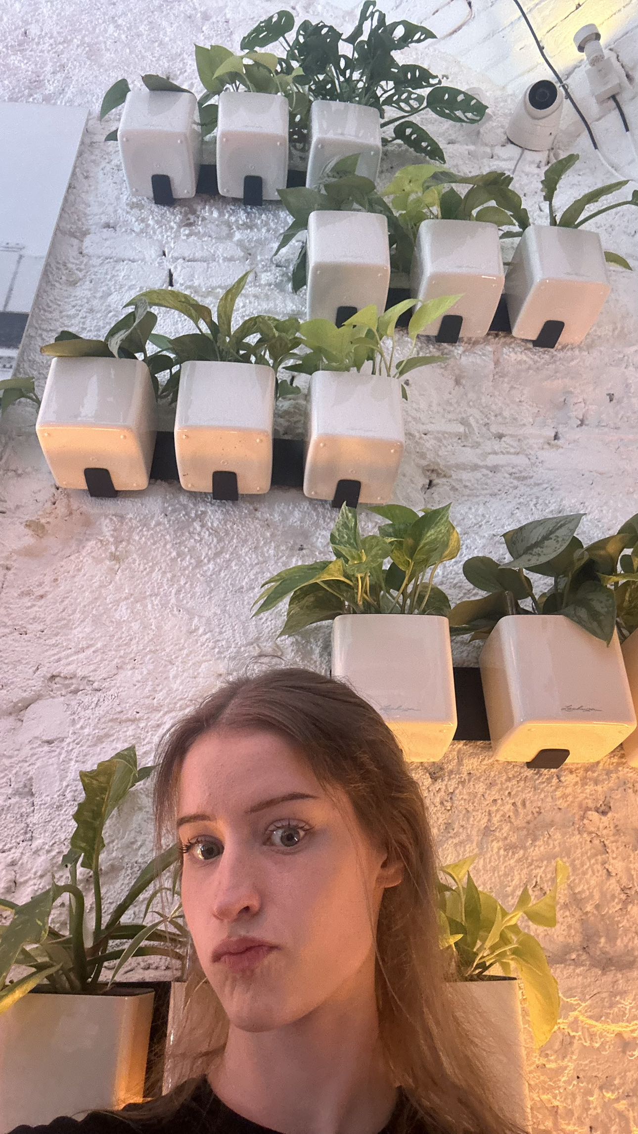 mira.0004 snapchat image archive image