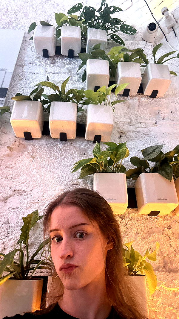 mira.0004 image ~ Altpins