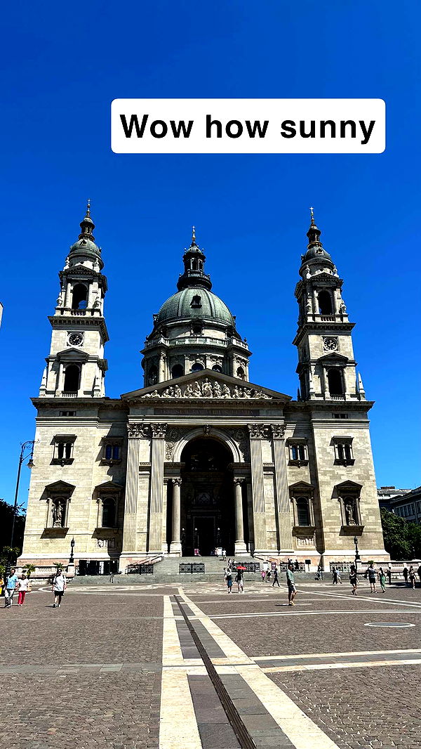 mira.0004 image ~ Altpins