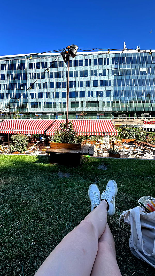 mira.0004 image ~ Altpins