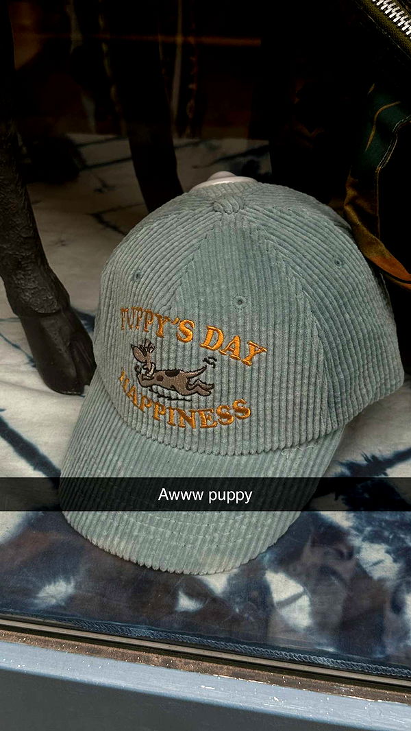 mira.0004 image ~ Altpins