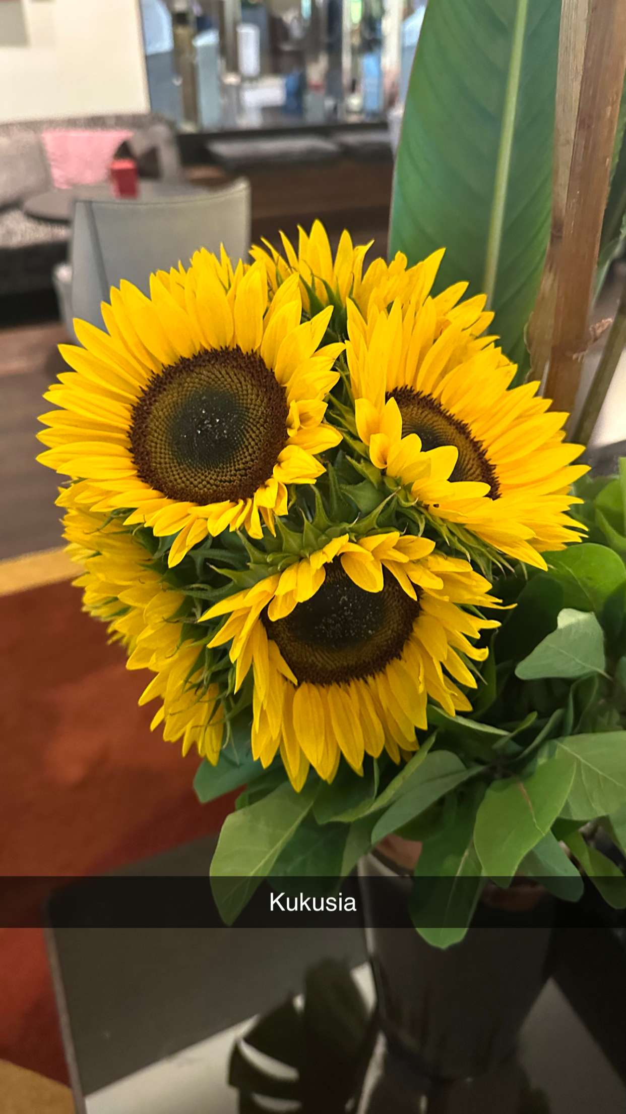 mira.0004 snapchat image archive image