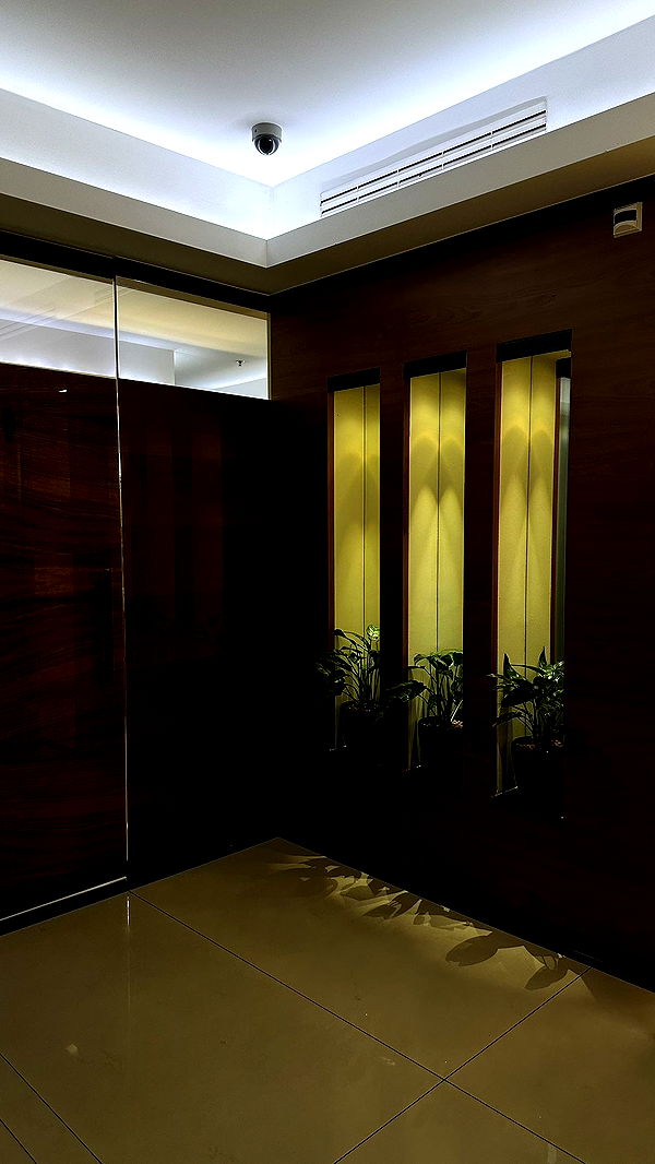 mira.0004 image ~ Altpins