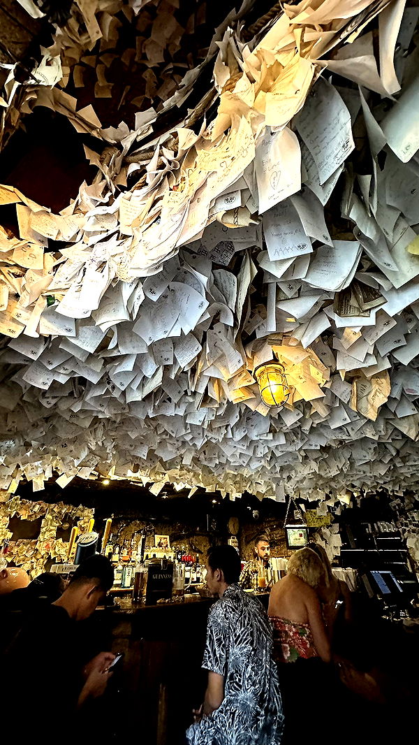 mira.0004 image ~ Altpins