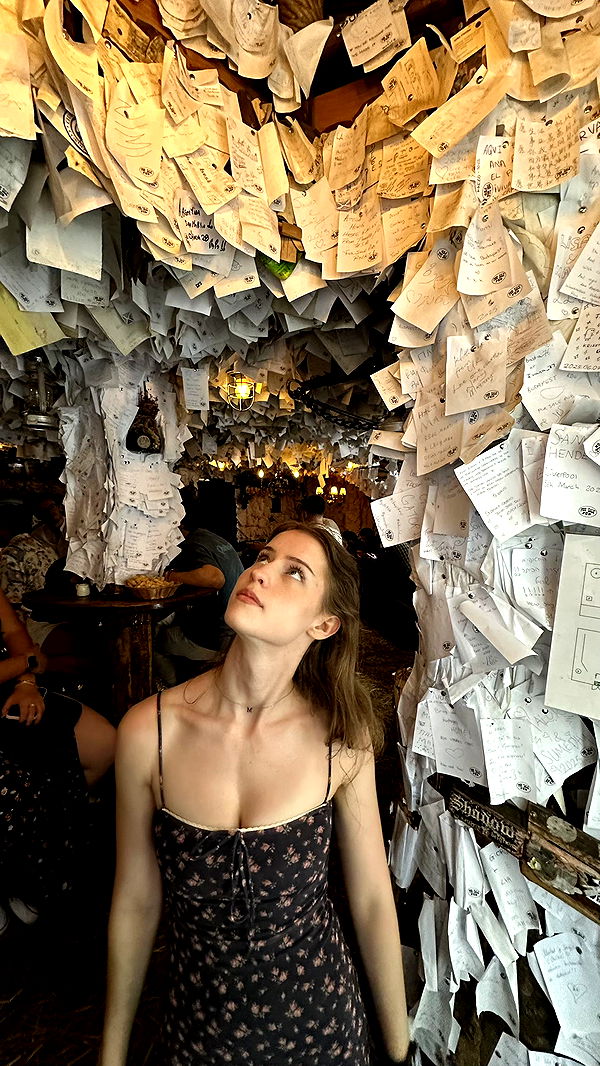 mira.0004 image ~ Altpins