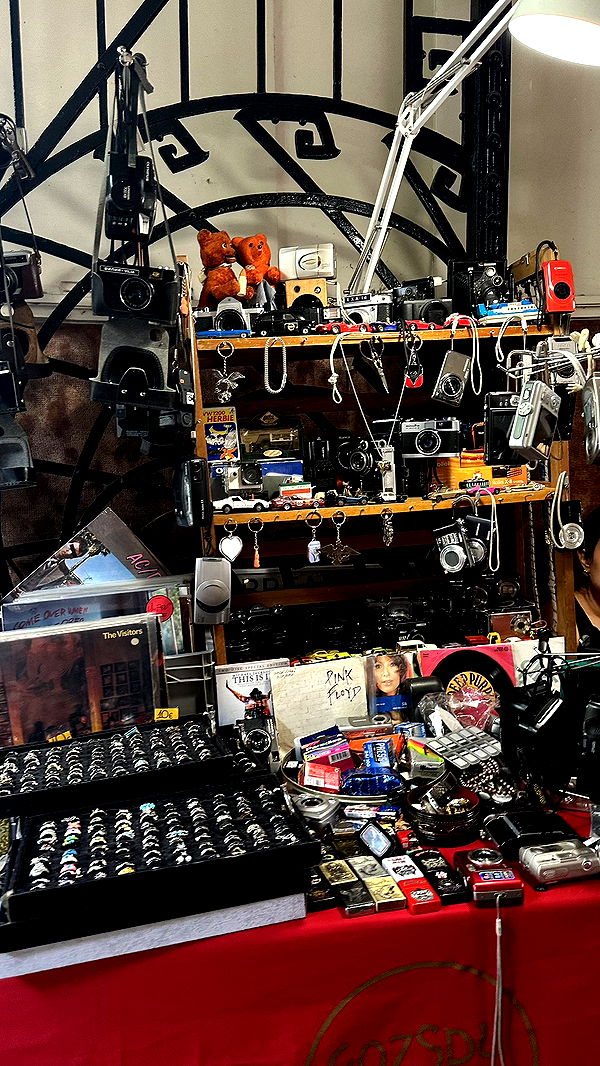 mira.0004 image ~ Altpins