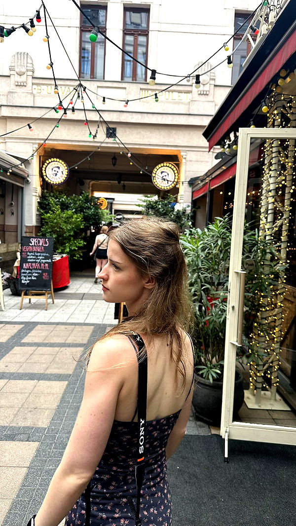 mira.0004 image ~ Altpins