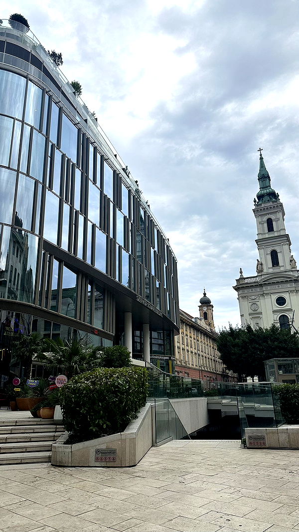 mira.0004 image ~ Altpins