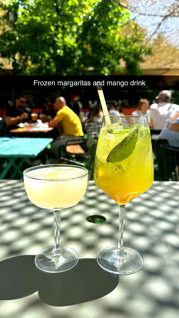 mira.0004 image ~ Altpins