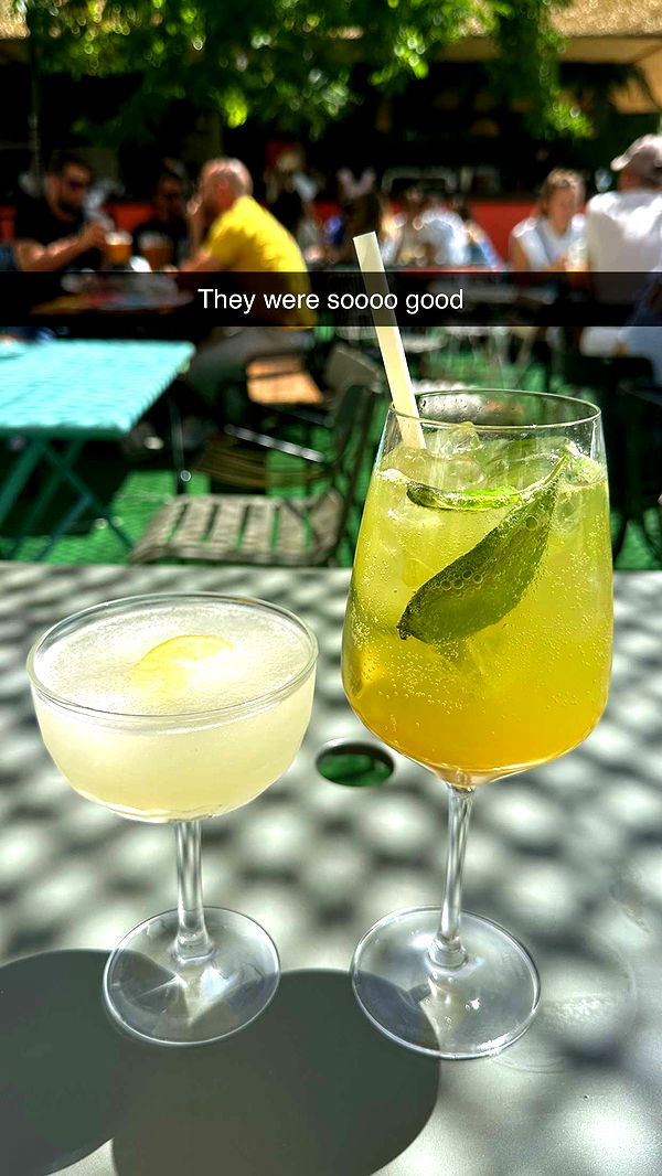 mira.0004 image ~ Altpins