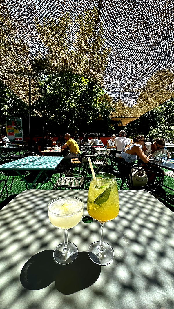 mira.0004 image ~ Altpins