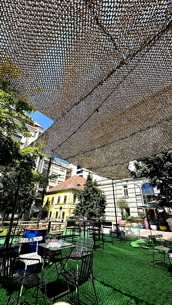 mira.0004 image ~ Altpins