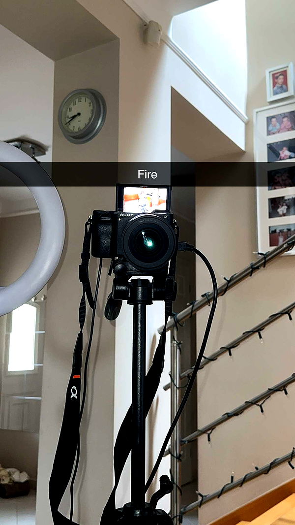 mira.0004 image ~ Altpins