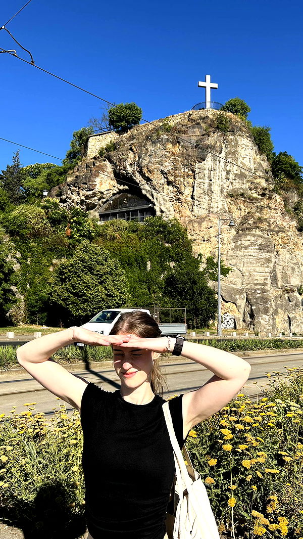 mira.0004 image ~ Altpins