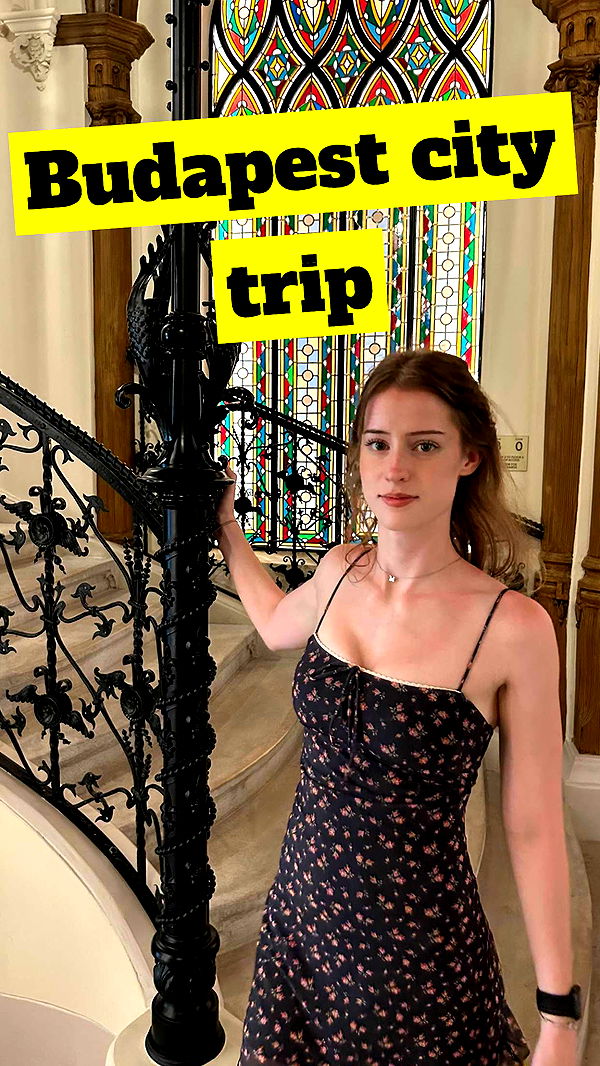 mira.0004 image ~ Altpins