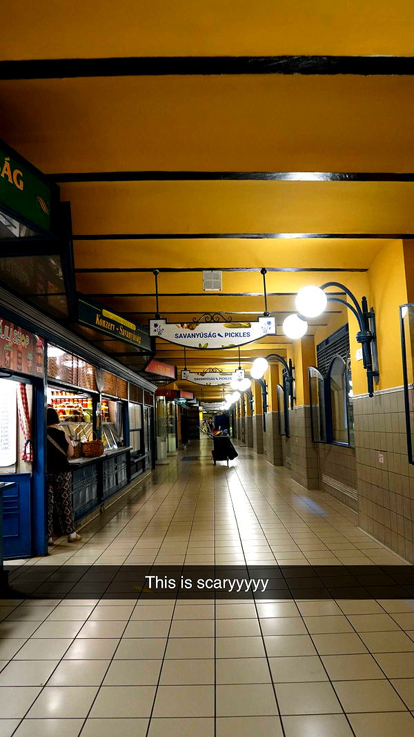 mira.0004 image ~ Altpins