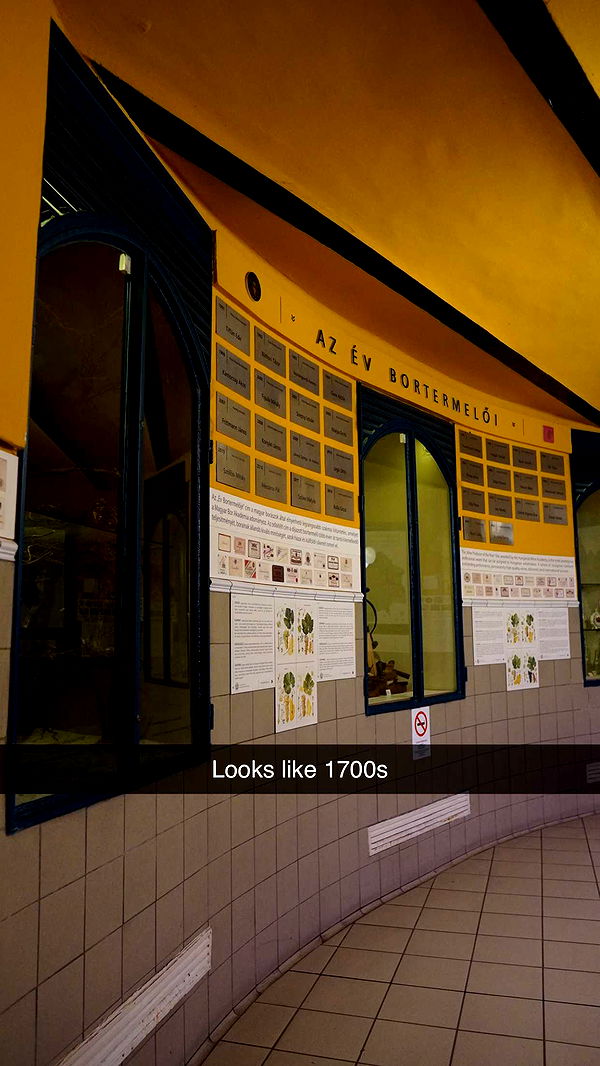 mira.0004 image ~ Altpins