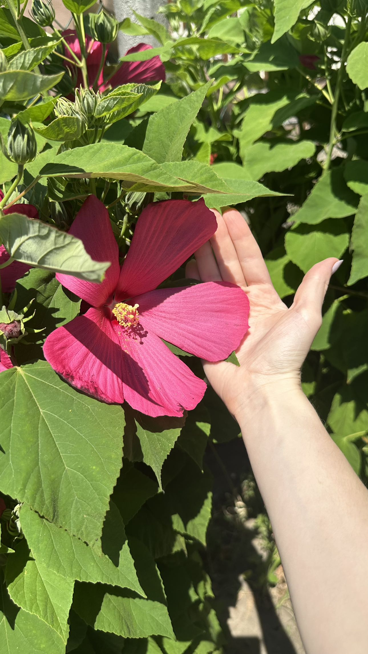 mira.0004 snapchat image archive image