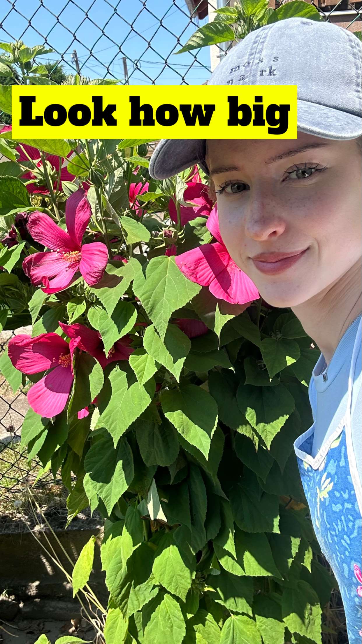 mira.0004 snapchat image archive image