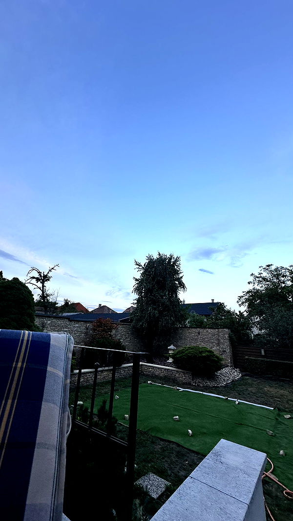 mira.0004 image ~ Altpins