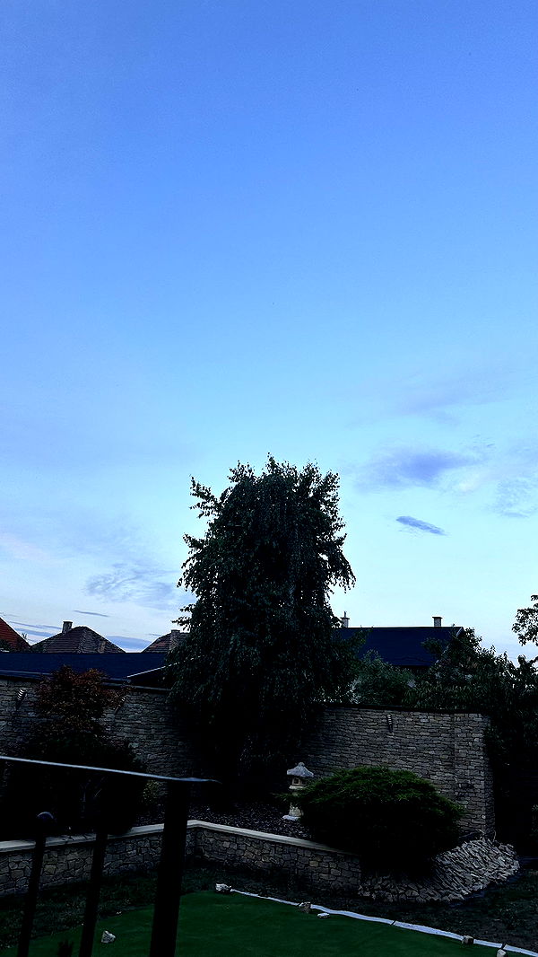 mira.0004 image ~ Altpins