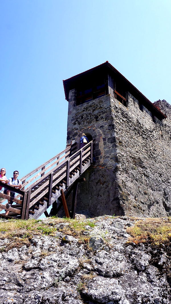 mira.0004 image ~ Altpins