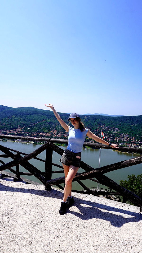 mira.0004 image ~ Altpins