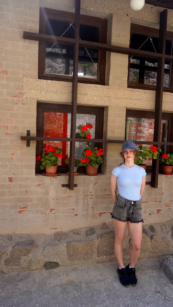 mira.0004 image ~ Altpins