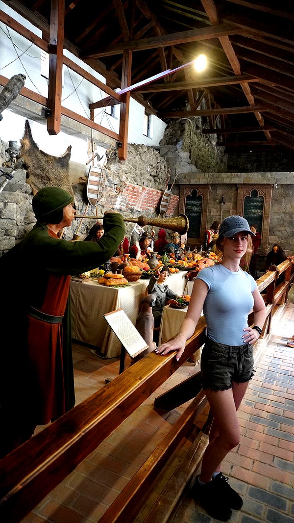 mira.0004 image ~ Altpins