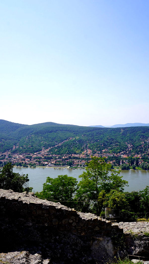 mira.0004 image ~ Altpins