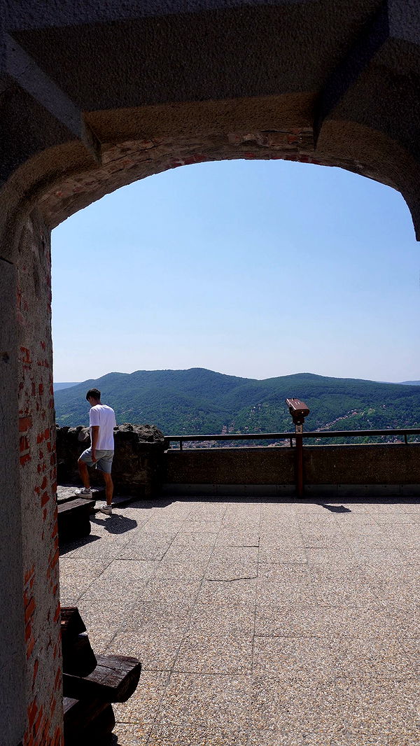 mira.0004 image ~ Altpins