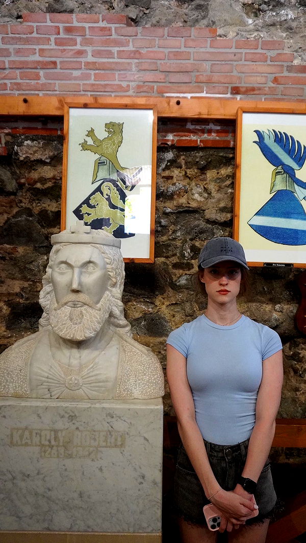 mira.0004 image ~ Altpins