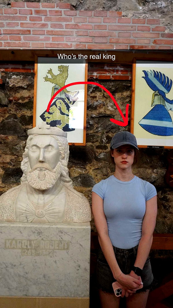 mira.0004 image ~ Altpins