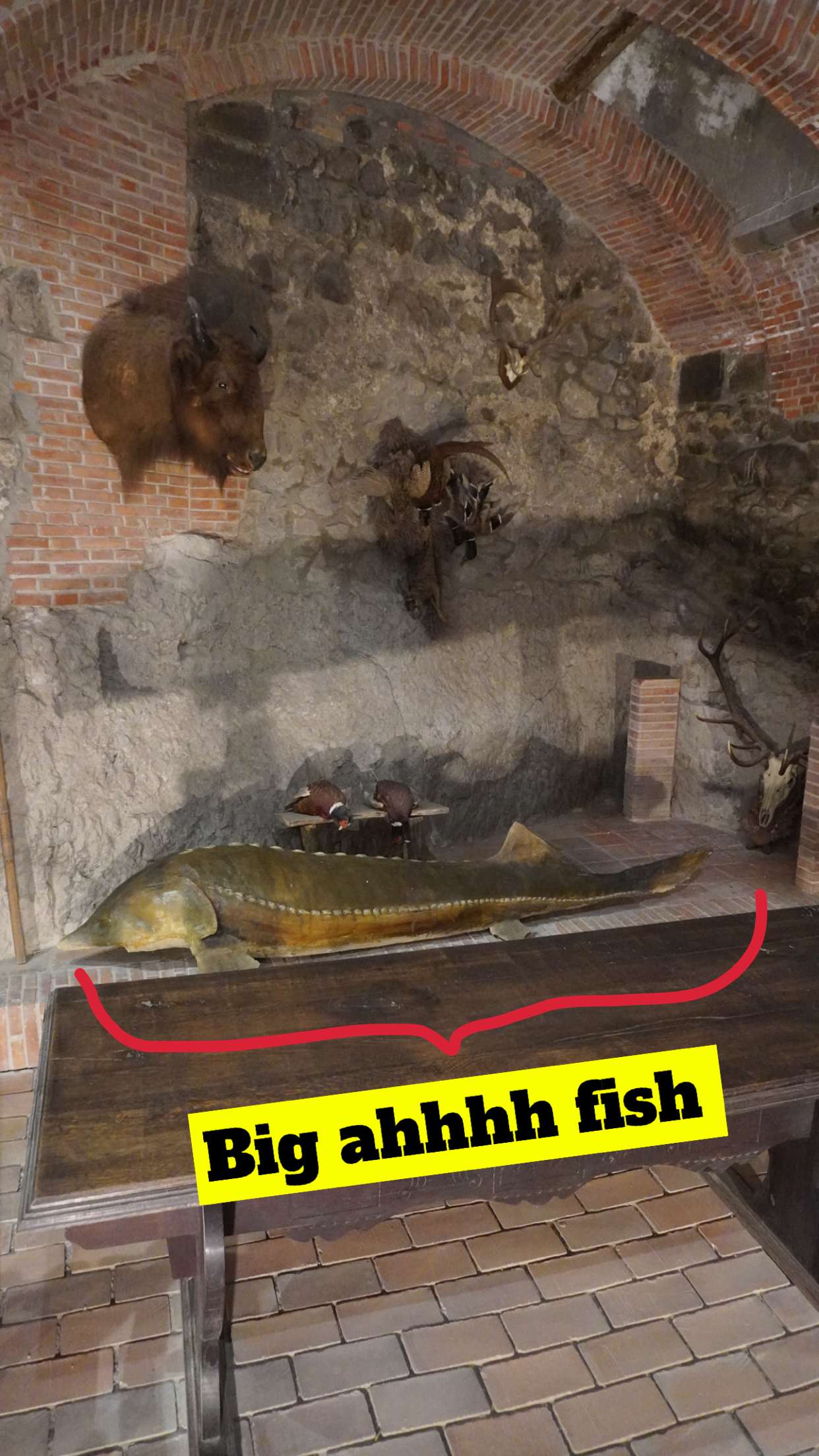 mira.0004 snapchat image archive image