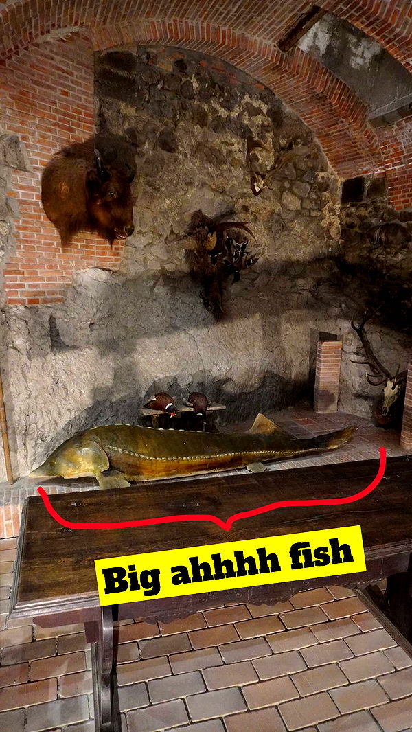 mira.0004 image ~ Altpins