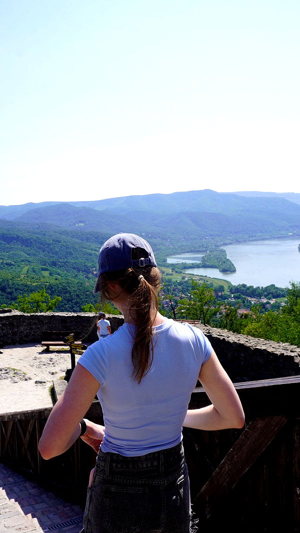 mira.0004 image ~ Altpins