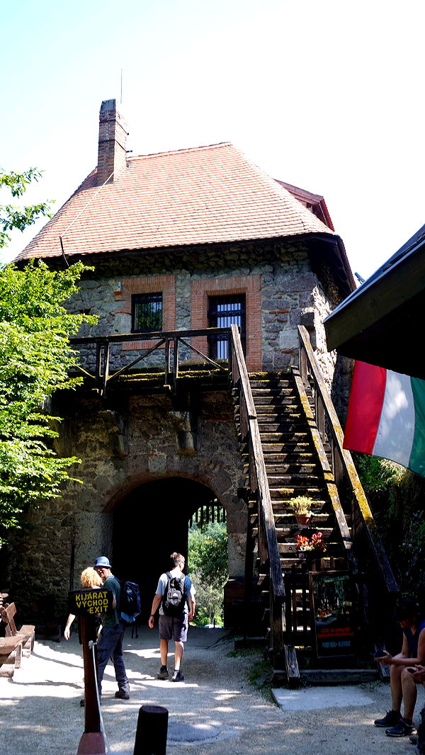 mira.0004 image ~ Altpins