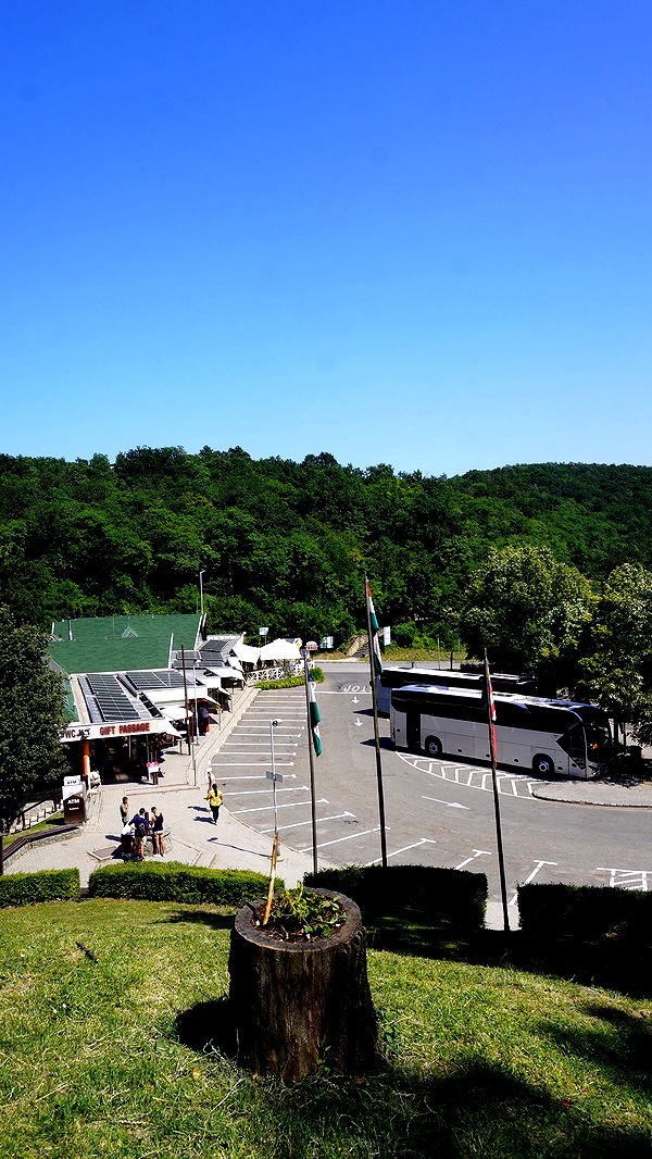 mira.0004 image ~ Altpins