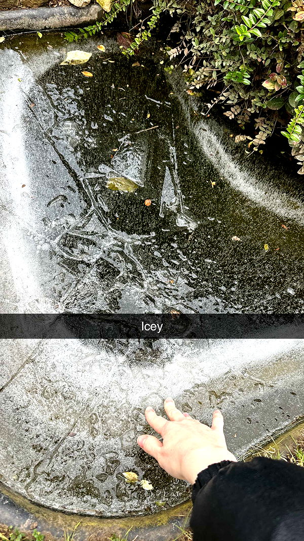 mira.0004 image ~ Altpins