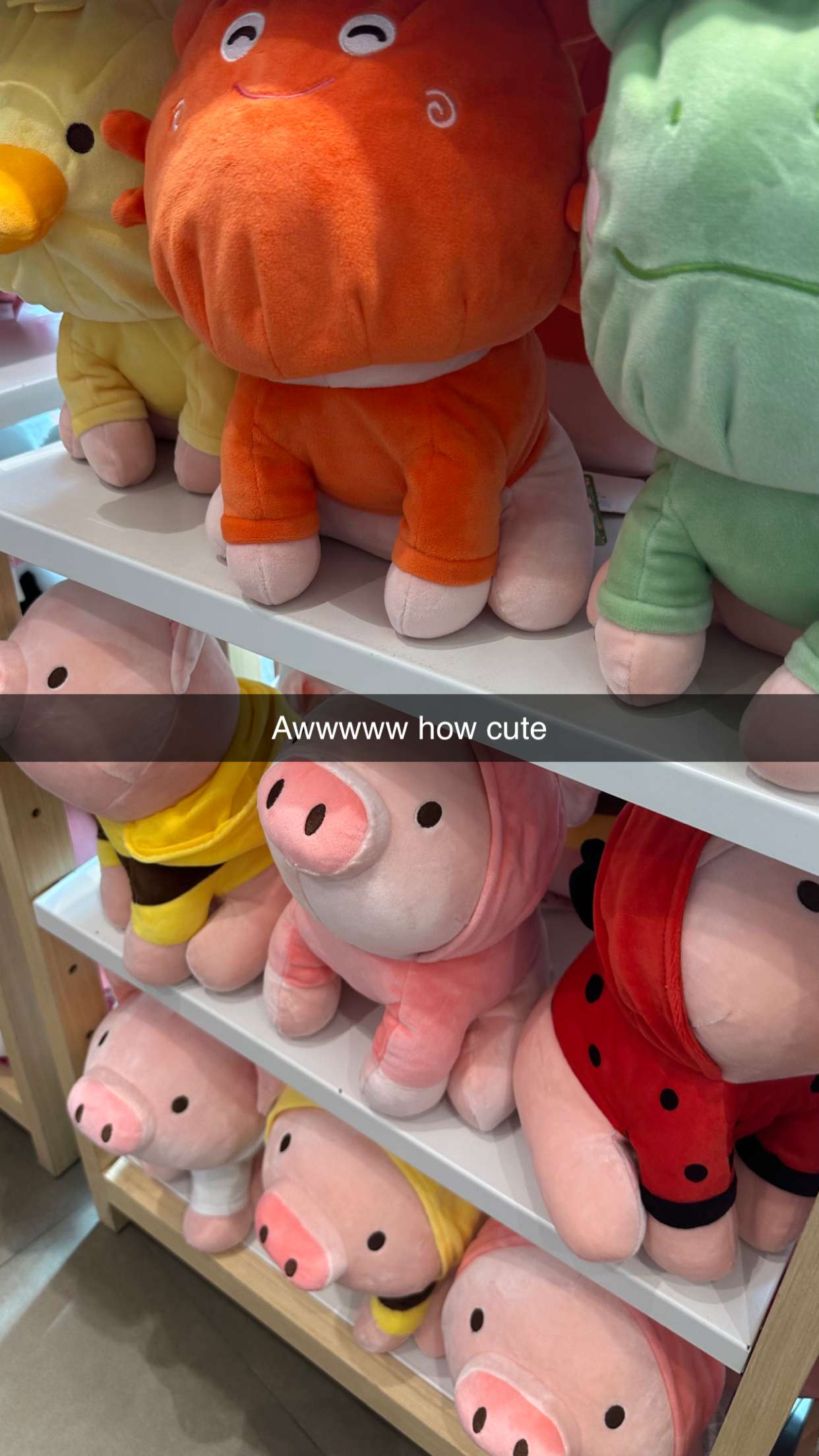 mira.0004 snapchat image archive image