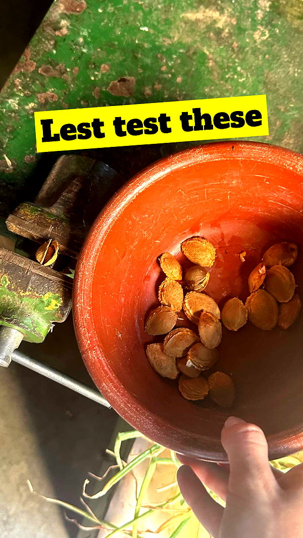 mira.0004 image ~ Altpins