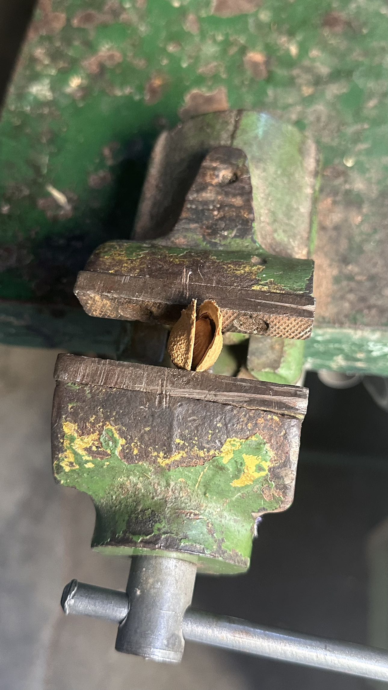 mira.0004 snapchat image archive image