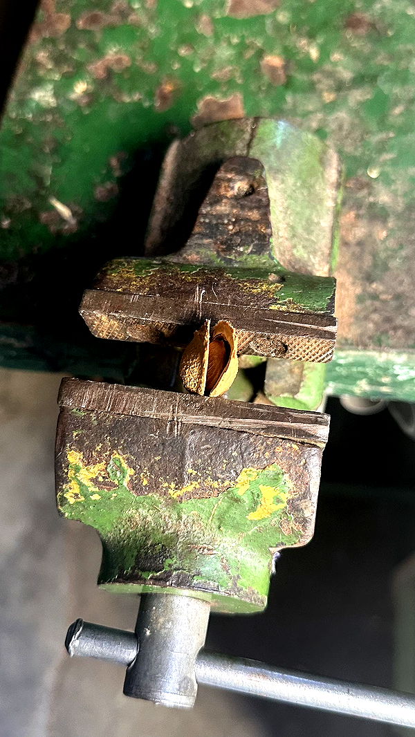 mira.0004 image ~ Altpins