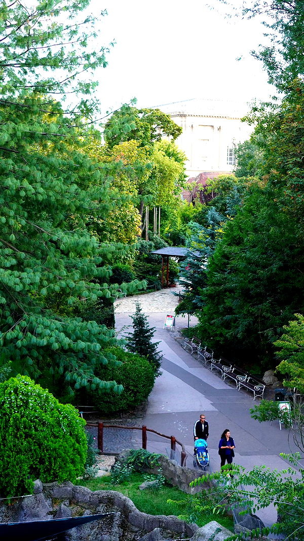 mira.0004 image ~ Altpins