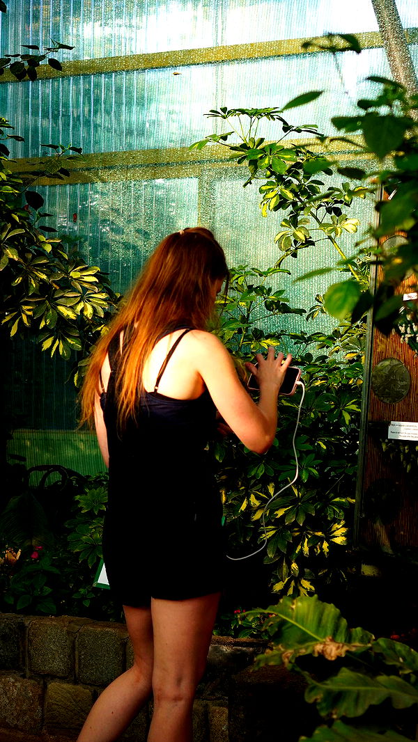 mira.0004 image ~ Altpins