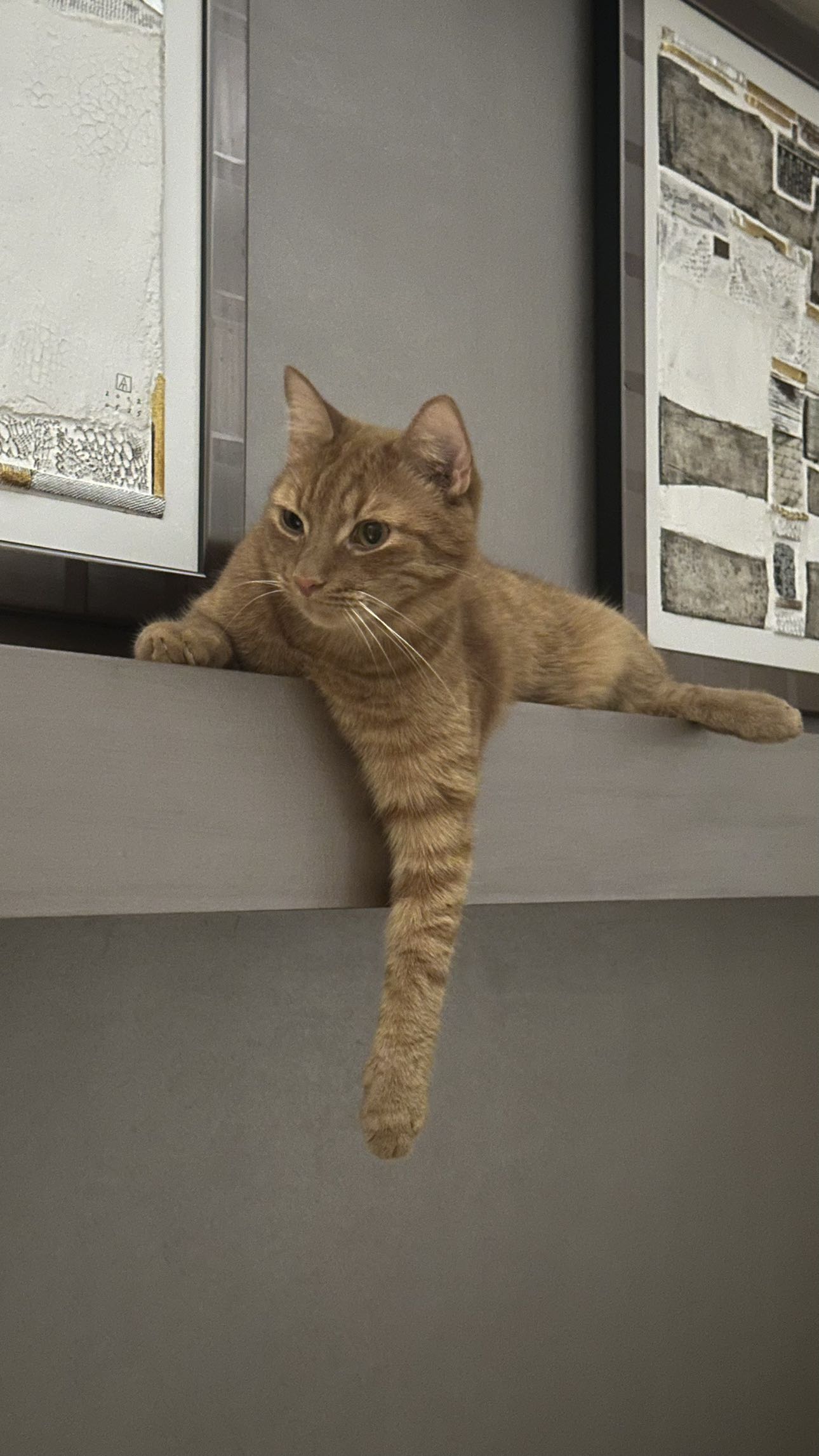 mira.0004 snapchat image archive image