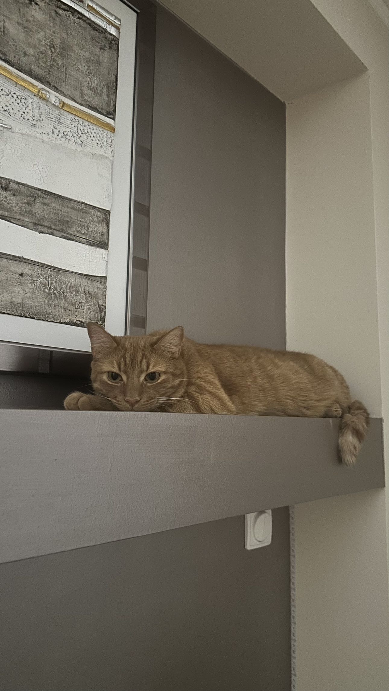 mira.0004 snapchat image archive image